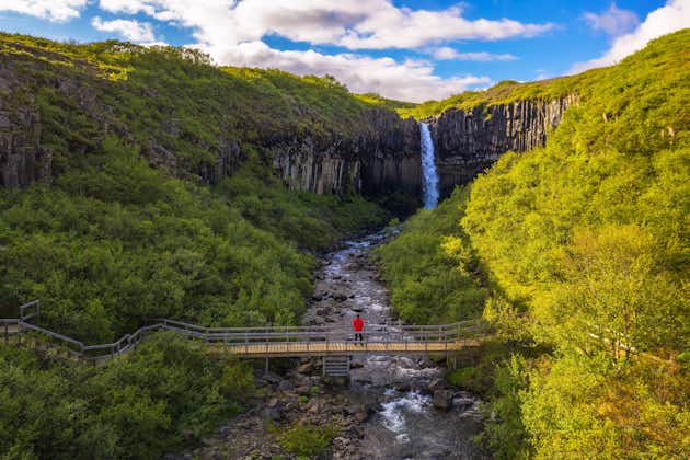 photo of hiker in red jacket looks at the svartifoss waterfall in Iceland. This waterfall is also known as black falls and it is located in skaftafell in vatnajokull national park. Long exposure.