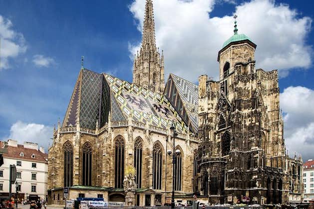 Excursión privada de medio día a la ciudad de Viena para grupos de incentivo