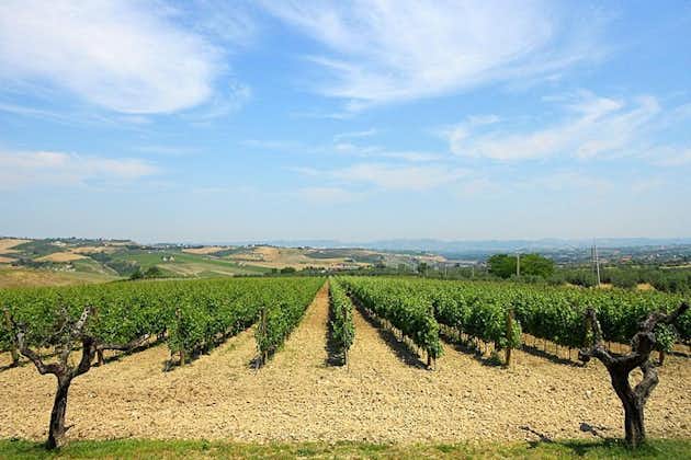 Besøk Marchesi de Cordano vingård og smake på sine viner
