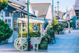 Kildare Village Shopping Day Package