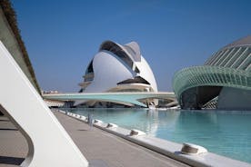 Tour to Valencia in a day from Madrid