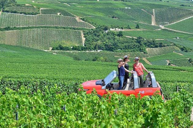The Must-sees 3h30 from Epernay (Private Champagne Tour)