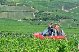 Die Must-Sees 3h30 ab Epernay (Private Champagner-Tour)