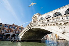 Gardajärveltä: Erityinen Venetsian matka yksityisellä laguunikierroksella veneellä