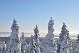 7 Days and 6 Nights Winter Lapland Nature Experience