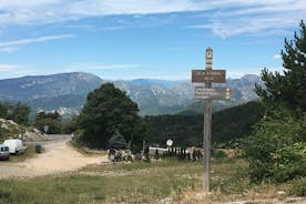 Begeleide fietstour in de bergen, waaronder de Col de la Madone, La Turbie en Col d'Eze uit Nice