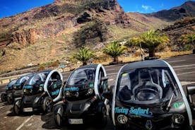 Tour Eco Safari di 4 ore con auto elettrica a Tenerife