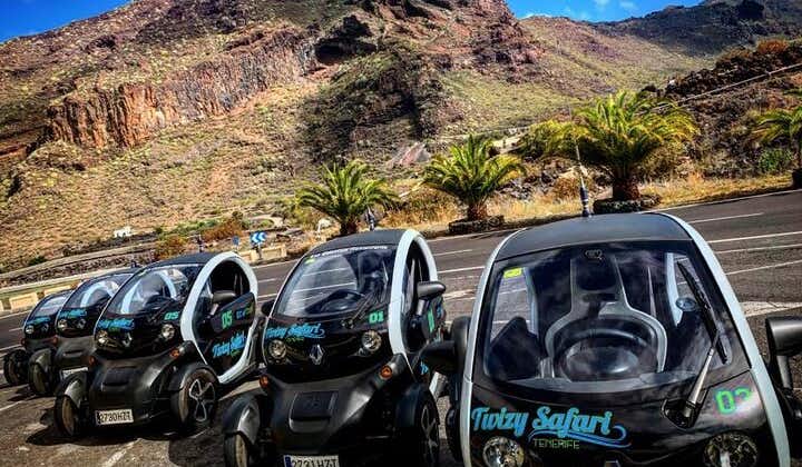 4 Hours Eco Safari Tour with Electric Car in Tenerife