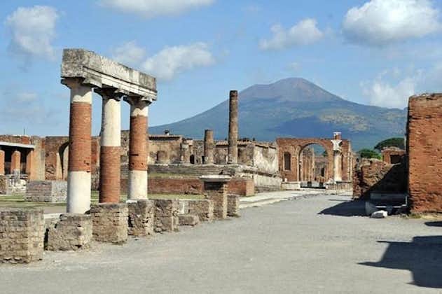Pompeji rullstolsanpassad privat rundtur