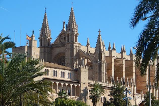 Palma et la cathédrale de Majorque avec les locaux