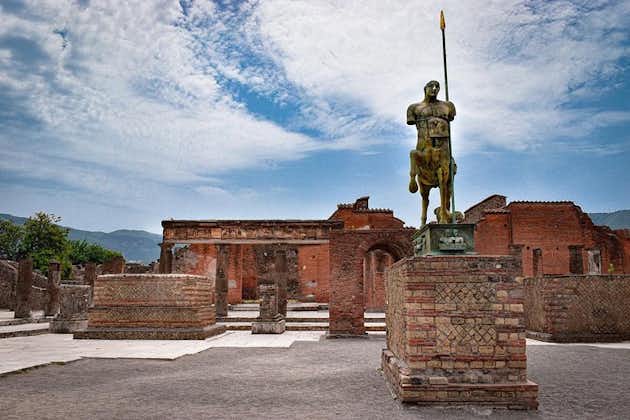 Visite privée de Pompéi au départ de Rome avec guide et billets d'entrée
