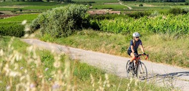 Provence och vinprovning med E-Bike från Saint-Rémy-de-Provence