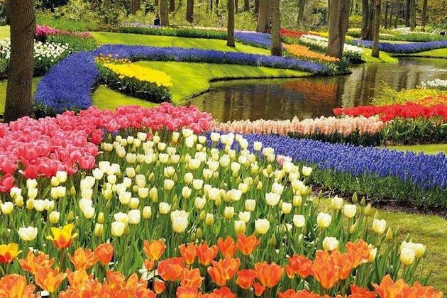 개인 여행 : 브뤼셀 출발 Keukenhof Tulips and Delft Tour 하루 종일