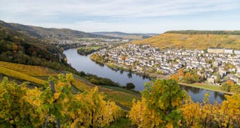 The Rhine & Moselle for Wine Lovers: Canals, Vineyards & Castles
