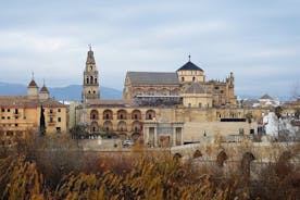 Half Day Tour to Mosque-Cathedral of Cordoba and Jewish Quarter