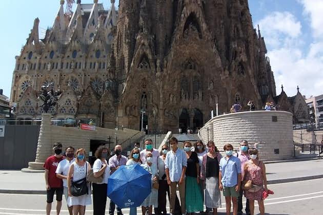Accesso rapido alla Sagrada Familia con accesso alla torre opzionale