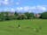 Photo of aerial view of meadow, grass, trees and horses, West Bromwich UK.