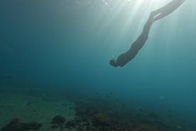  Atividade de mergulho livre em Fuerteventura com coleta