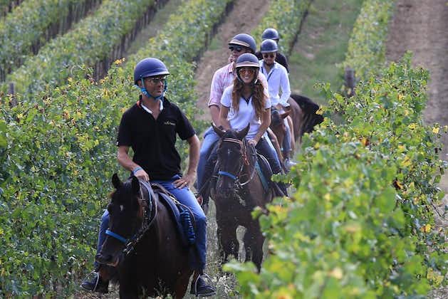 Paseo a caballo con tour del vino desde Florencia