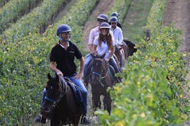 フィレンツェからの乗馬ワイン ツアー