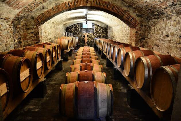 Exclusive Chianti Classico Day Trip from Florence
