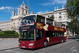 Vienna Hop-On Hop-Off Bus Tour with Guided Tour, River Cruise, or Ferris Wheel Ride