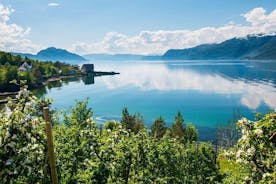 Privat dagstur till Eidfjord, Vøringsfoss Waterfall & Hardanger Fjord Cruise