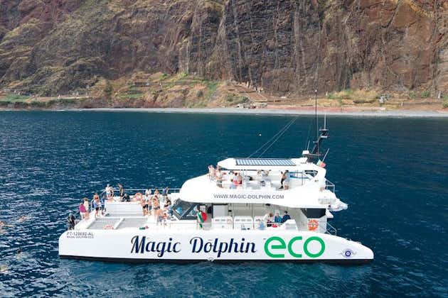 Madeira: Delfin- und Walbeobachtung auf einem Segelkatamaran
