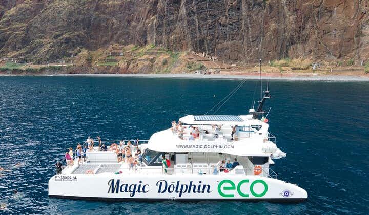 Dolfijnen en walvissen spotten bij Madeira vanaf een luxe catamaran
