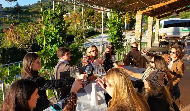 Private wine tour - Lucca hills and Montecarlo (2 wineries)
