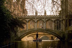 Shared Punting Tour in Cambridge