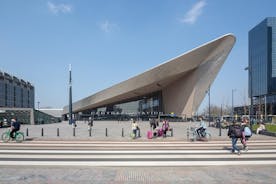 Kulturell promenadtur i Rotterdam