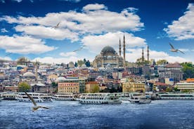 MR.ISTANBUL의 클래식 올드 시티 투어 1-2 또는 3 일 (최대 : 10 명)