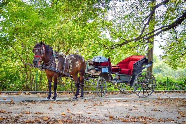 Vrelo Bosne 自然公园的私人马车之旅
