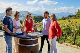 Getaria Txakoli 와인 투어 및 산 세바스티안에서 호텔 픽업