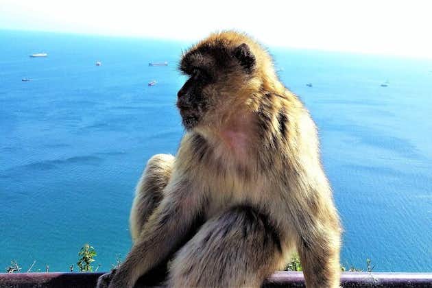 Tour privado en Gibraltar y Mijas desde Marbella y Estepona