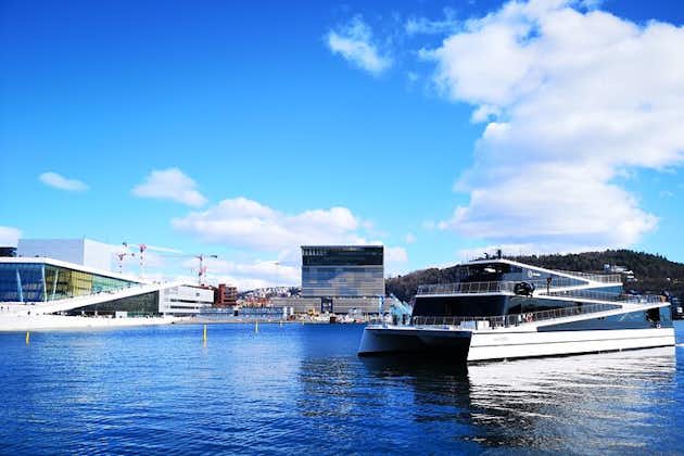 Excursão combinada de Oslo: Grand City Tour e cruzeiro pelo fiorde de Oslo