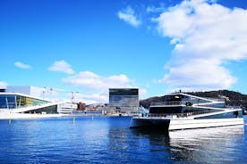 Excursión combinada en Oslo: Gran recorrido por la ciudad y crucero por el fiordo de Oslo