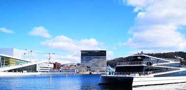 Oslo Combo Tour: Grand City Tour and Oslo Fjord Cruise