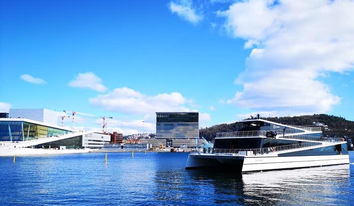 Tour combinato di Oslo: Grand City Tour e crociera sul fiordo di Oslo