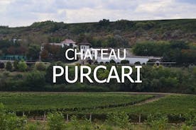 Moldavia: tour di degustazione di VINI alla cantina Château Purcari