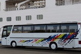 Geteilter Shuttle-Transfer vom Flughafen Teneriffa Süd zu den Hotels