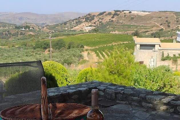 Experiencia privada de cata de vinos en Domaine Paterianakis (traslado gratuito)
