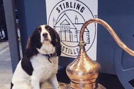 Visite classique du Gin Stirling