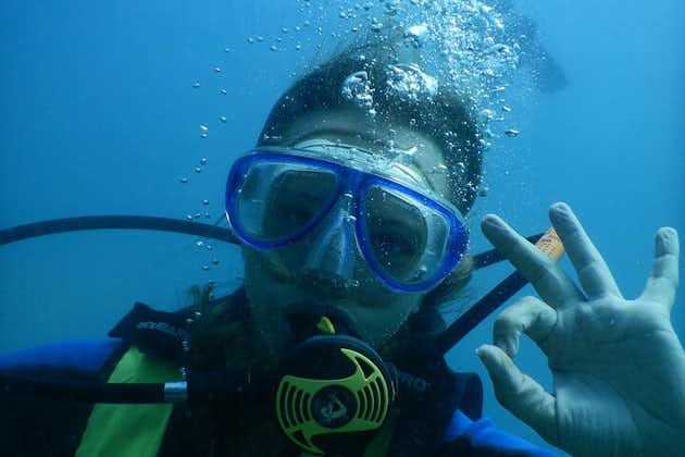 PADI / SSI Open Water Diver Course