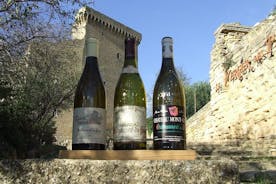 Pienryhmän koko päivän yksityinen viinikierros Avignonista