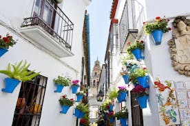 Cordoba: Mosque,Cathedral, Alcazar & Synagogue with Skip the Line Tickets 