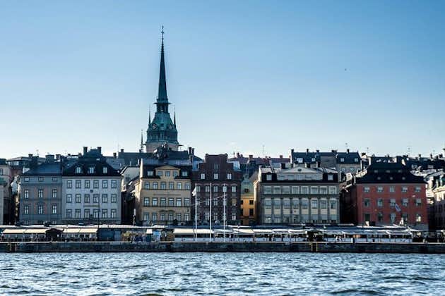 Tour privado en automóvil de Estocolmo con guía en vivo, incluido el museo Vasa.