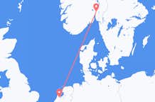Flyrejser fra Amsterdam til Oslo