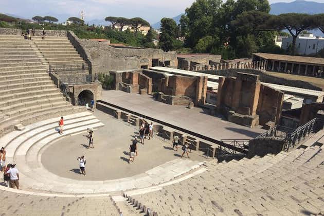 Excursão terrestre por Nápoles: Passeio de um dia por Pompeia e Sorrento